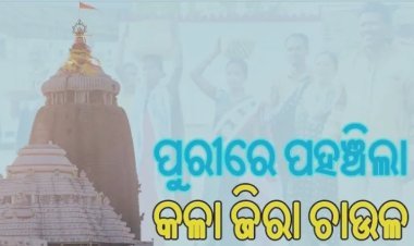 ଶ୍ରୀକ୍ଷେତ୍ରରୁ ଆସି ପୁରୀରେ ପହଞ୍ଚିଲା କଳା ଜିରା ଚାଉଳ