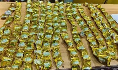 ବଜାରରେ ଗଞ୍ଜେଇ ଚକୋଲେଟ୍ : ହାଇଦ୍ରାବାଦରୁ ଓଡ଼ିଆ ଯୁବକ ଗିରଫ