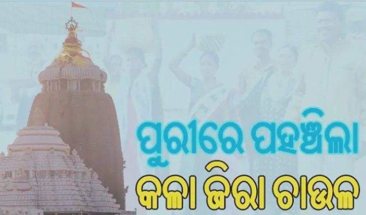 ଶ୍ରୀକ୍ଷେତ୍ରରୁ ଆସି ପୁରୀରେ ପହଞ୍ଚିଲା କଳା ଜିରା ଚାଉଳ