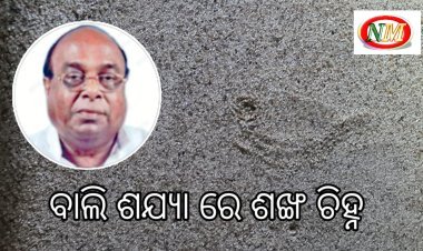 ଦାମ ବାବୁ ଙ୍କ ବାଲି ଶଯ୍ୟା ରେ ଶଙ୍ଖ ଚିହ୍ନ