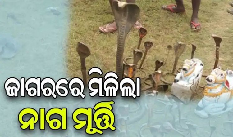 ମହାଶିବରାତ୍ରିରେ ମହାନଦୀରୁ ଶହେରୁ ଅଧିକ ନାଗମୂର୍ତ୍ତି