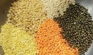 ଡାଲି ମୂଲ୍ୟ କମିବ