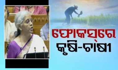 ବଜେଟ୍‌ରେ ୯ ଦିଗ ଉପରେ ସରକାର ଦେଇଛନ୍ତି ଅଧିକ ଗୁରୁତ୍ୱ, ଜାଣନ୍ତୁ
