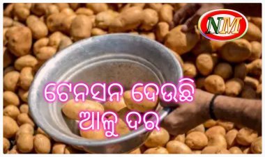 ଓଡ଼ିଶାକୁ ଆଳୁ ଗାଡ଼ି ଛାଡ଼ୁନି ପଶ୍ଚିମବଙ୍ଗ, କିଲୋ ଛୁଇଁଲାଣି ୫୦