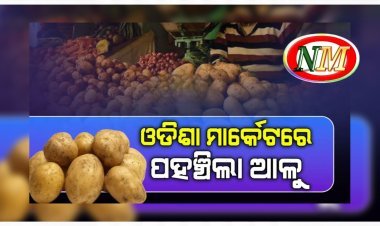ଓଡ଼ିଶା ବଜାରରେ ଆସି ପହଞ୍ଚିଛି ପଶ୍ଚିମବଙ୍ଗ ଆଳୁ