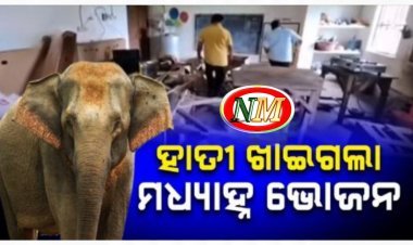 ହାତୀ ଖାଇଗଲା ମଧ୍ୟାହ୍ନ ଭୋଜନ