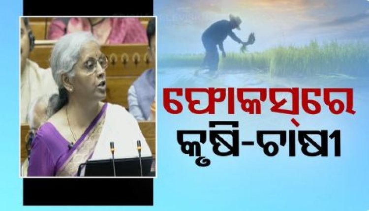 ବଜେଟ୍‌ରେ ୯ ଦିଗ ଉପରେ ସରକାର ଦେଇଛନ୍ତି ଅଧିକ ଗୁରୁତ୍ୱ, ଜାଣନ୍ତୁ