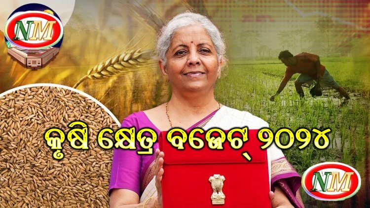 ବଜେଟ୍ ୨୦୨୪: କୃଷି କ୍ଷେତ୍ର ଲାଗି ୧.୫୨ ଲକ୍ଷ କୋଟି ଟଙ୍କା ଆବଣ୍ଟିତ