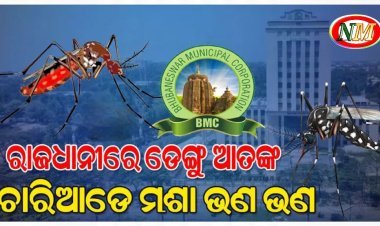 ରାଜ୍ୟରେ 'ଡେଙ୍ଗୁ' ଲଗାମଛଡ଼ା : ରାଜଧାନୀ ସ୍ଥିତି ଉଦ୍‌ବେଗଜନକ