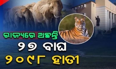 ଭିତରକନିକାରେ ଅଛନ୍ତି ୧୮୫୦ ବଉଳା କୁମ୍ଭୀର