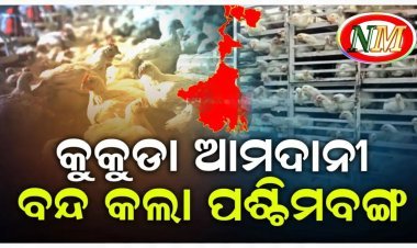 ବାର୍ଡ ଫ୍ଲୁ ଆତଙ୍କ