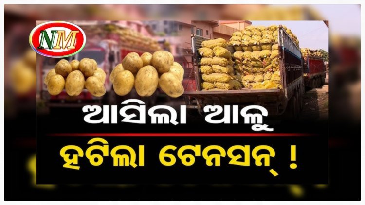 ଆସିଲା ୩୦୦ ଆଳୁ ଟ୍ରକ୍