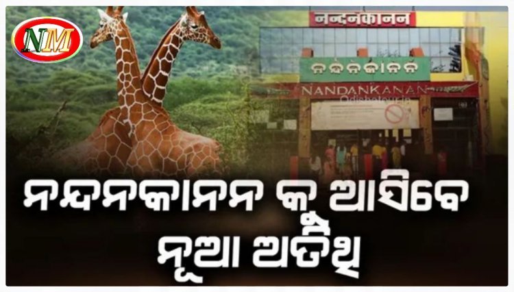 ନନ୍ଦନକାନନ କୁ ଆସିବେ ନୂଆ ଅତିଥି