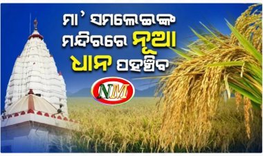ମା’ ସମଲେଇଙ୍କ ମନ୍ଦିରରେ ପହଞ୍ଚିବ ନୂଆ ଧାନ