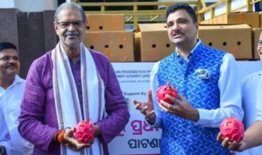 ଓଡିଶାରୁ ଦୁବାଇ ଗଲା ଡ୍ରାଗନ ଫଳ