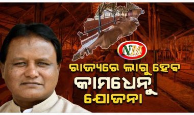 ରାଜ୍ୟରେ ଲାଗୁ ହେବ କାମଧେନୁ ଯୋଜନା, ଖର୍ଚ୍ଚ ହେବ ୧୪୨୪ କୋଟି