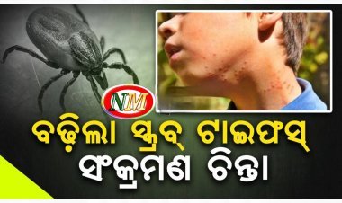 ବଢ଼ିଲା ସ୍କ୍ରବ୍‌ ଟାଇଫସ୍‌ ସଂକ୍ରମଣ ଚିନ୍ତା