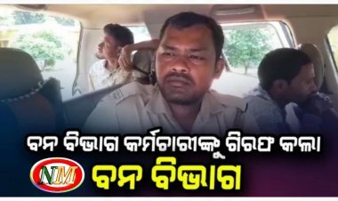 ହାତୀ ମୃତ୍ୟୁ ଘଟଣାରେ  ବନ ବିଭାଗ କର୍ମଚାରୀଙ୍କୁ ଗିରଫ କଲା ବନ ବିଭାଗ