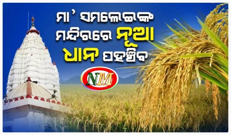 ମା’ ସମଲେଇଙ୍କ ମନ୍ଦିରରେ ପହଞ୍ଚିବ ନୂଆ ଧାନ