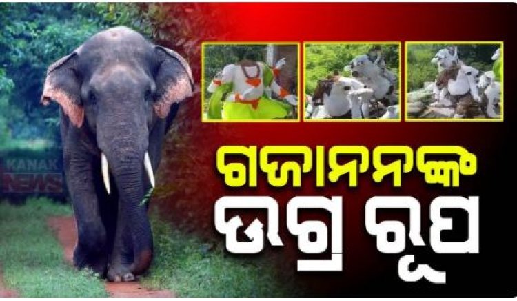 ଗଣେଶ ମୂର୍ତ୍ତି ଭାଙ୍ଗିଦେଲେ ଗଜାନନ