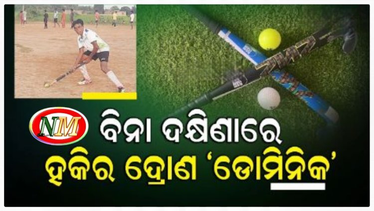 ହକିର ଗୁରୁଦ୍ରୋଣ ଡାମିନିକ