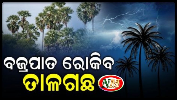 ରାଜ୍ୟରେ ୫ ବର୍ଷରେ ହୋଇଛି ୧୧୦୩ ବଜ୍ରପାତଜନିତ ମୃତ୍ୟୁ