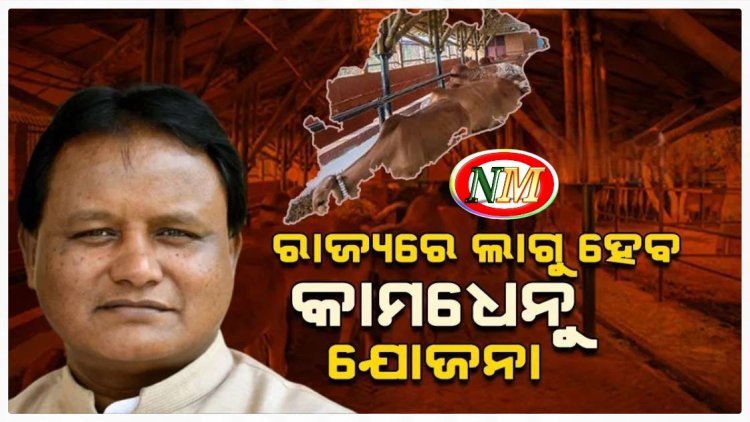 ରାଜ୍ୟରେ ଲାଗୁ ହେବ କାମଧେନୁ ଯୋଜନା, ଖର୍ଚ୍ଚ ହେବ ୧୪୨୪ କୋଟି
