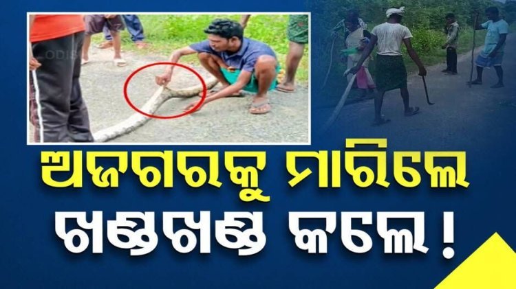 ବର୍ବରତାର ସବୁ ସୀମା ପାର୍