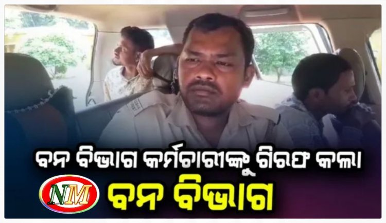 ହାତୀ ମୃତ୍ୟୁ ଘଟଣାରେ ବନ ବିଭାଗ କର୍ମଚାରୀଙ୍କୁ ଗିରଫ କଲା ବନ ବିଭାଗ