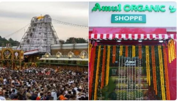 ତିରୁପତି ବାଲାଜୀ ମନ୍ଦିର ପ୍ରସାଦକୁ ନେଇ ବଡୁଛି ବିବାଦ