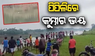 ଦୟା ନଦୀରେ କୁମ୍ଭୀର ଆତଙ୍କ