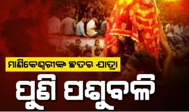 ମାଣିକେଶ୍ବରୀଙ୍କ ଛତର ଯାତ୍ରା: ପୁଣି ପଶୁବଳି