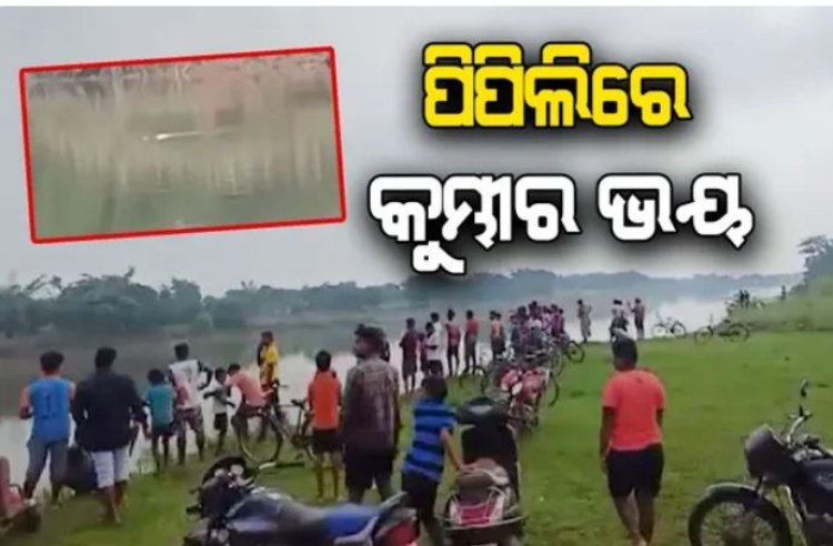 ଦୟା ନଦୀରେ କୁମ୍ଭୀର ଆତଙ୍କ