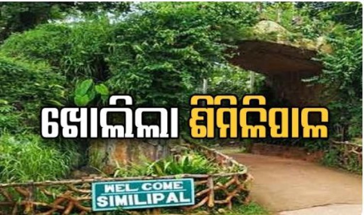 ଆଜିଠୁ ଖୋଲିଲା ପର୍ଯ୍ୟଟକଙ୍କ ପାଇଁ ଶିମିଳିପାଳ ଅଭୟାରଣ୍ୟ