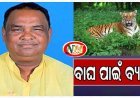 ବାଘକୁ ନେଇ ବିଧାୟକ ଚିନ୍ତିତ