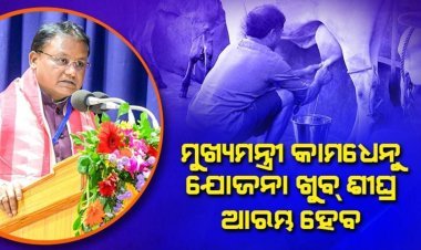 ପଶୁ ପାଳନ କ୍ଷେତ୍ରକୁ ବୃତ୍ତି ଭାବେ ଗ୍ରହଣ କରିବାକୁ ପ୍ରୋତ୍ସାହିତ କରନ୍ତୁ: ମୁଖ୍ୟମନ୍ତ୍ରୀ