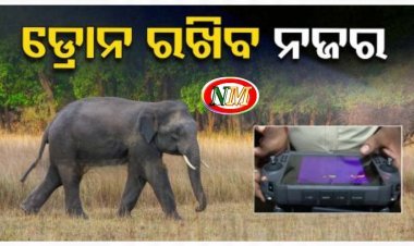ଡ୍ରୋନ କହିବ ଜଙ୍ଗଲରେ କେତେ ଅଛନ୍ତି ହାତୀ ?