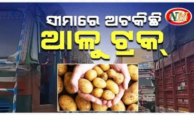 ଓଡ଼ିଶାକୁ ଆଳୁ ସଂକଟ