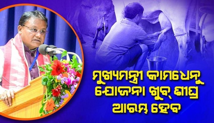 ପଶୁ ପାଳନ କ୍ଷେତ୍ରକୁ ବୃତ୍ତି ଭାବେ ଗ୍ରହଣ କରିବାକୁ ପ୍ରୋତ୍ସାହିତ କରନ୍ତୁ: ମୁଖ୍ୟମନ୍ତ୍ରୀ