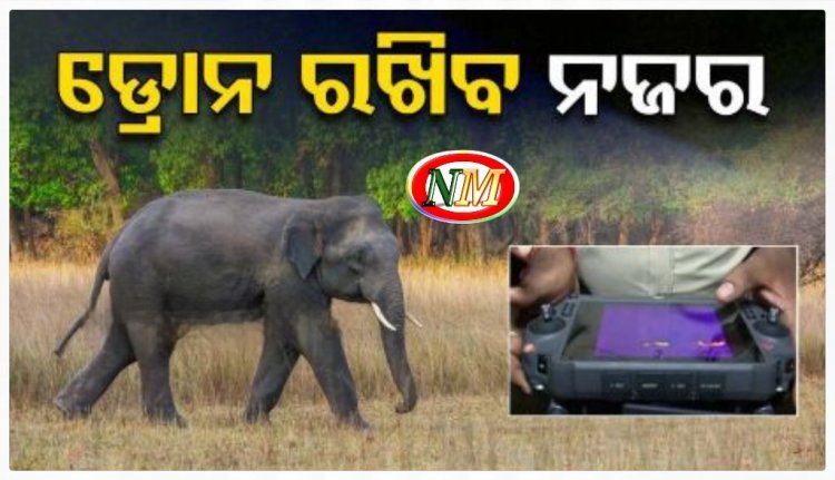 ଡ୍ରୋନ କହିବ ଜଙ୍ଗଲରେ କେତେ ଅଛନ୍ତି ହାତୀ ?