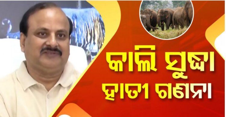 ରାଜ୍ୟରେ ସରିଲା ଶୀତକାଳୀନ ହାତୀ ଗଣନା